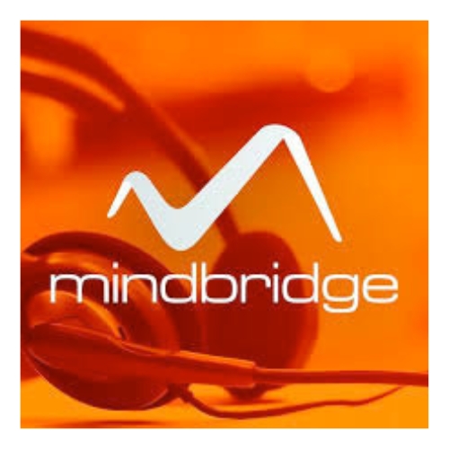 Mindbridge icon